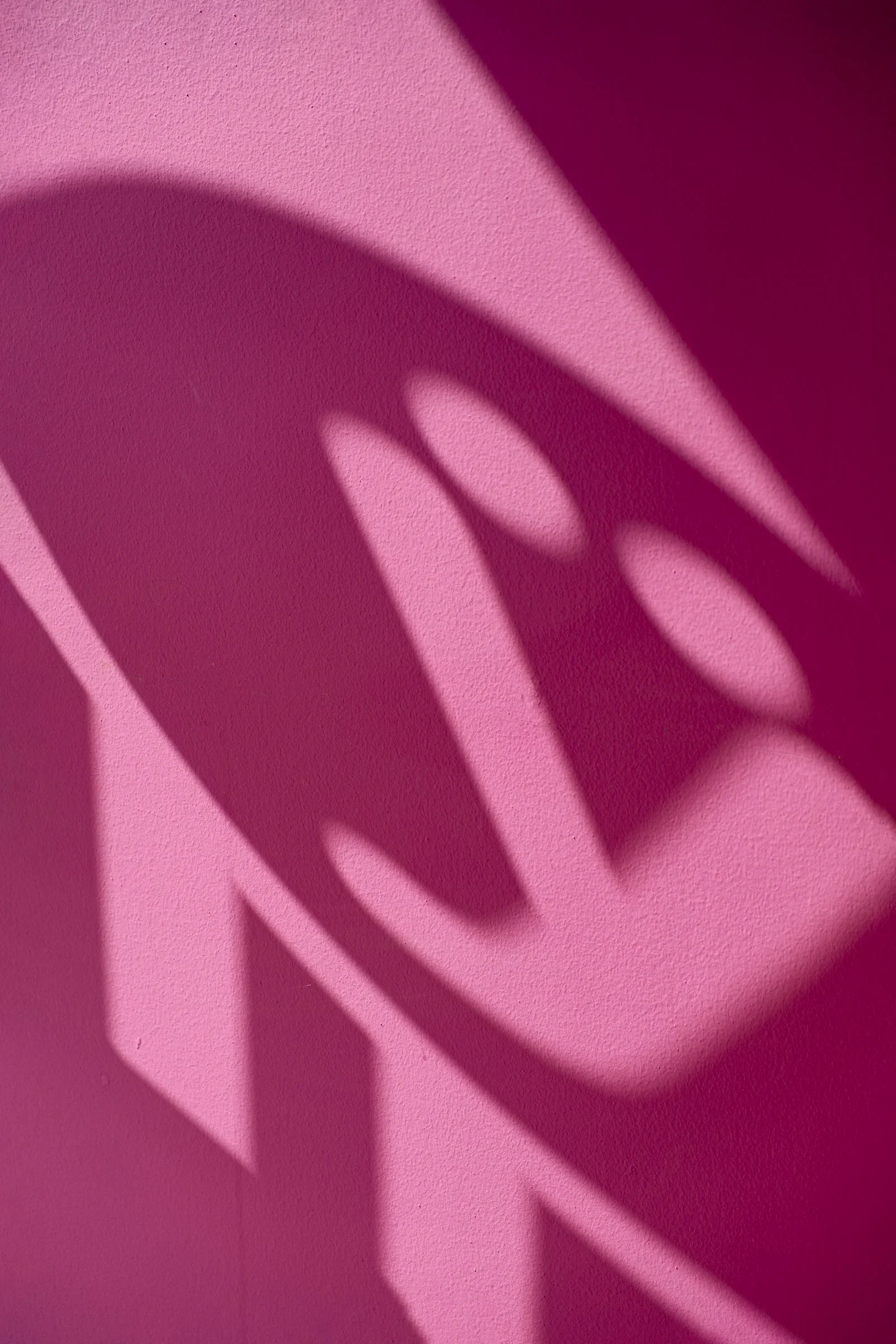 Gloria Colazzo - work - yogurteria