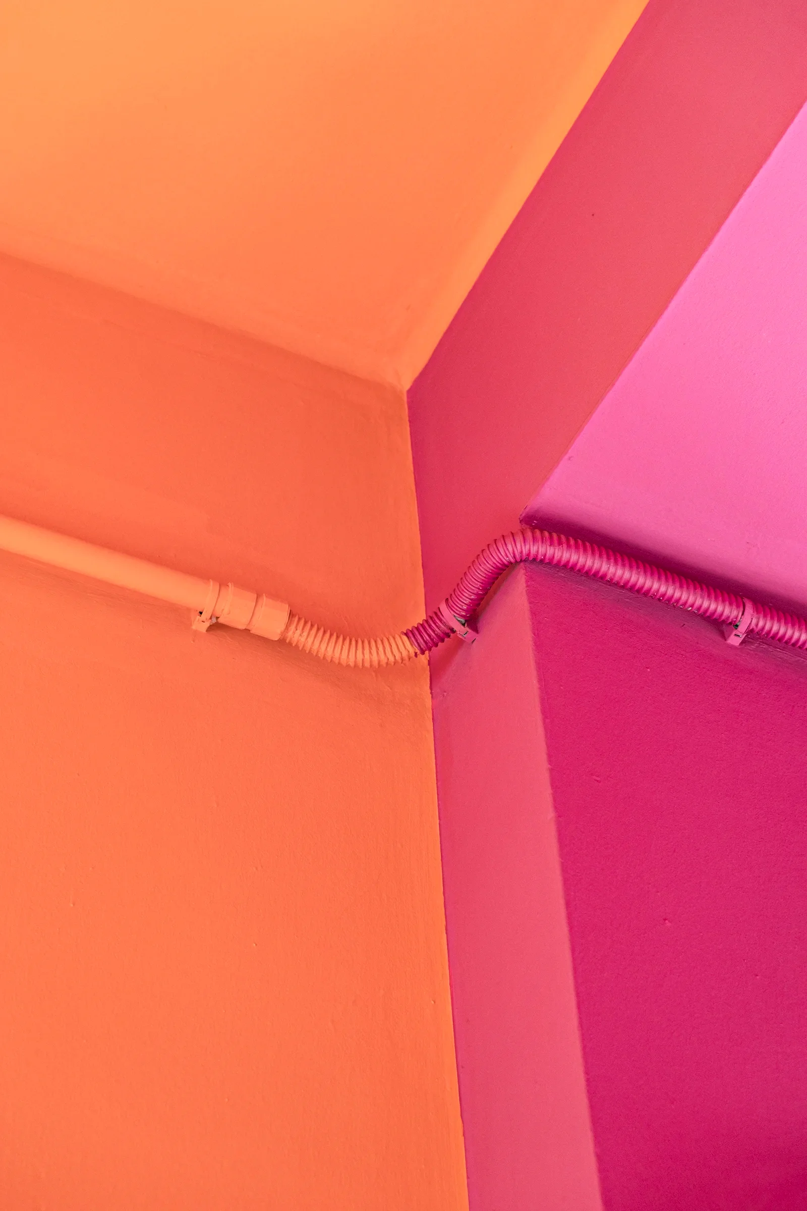 Gloria Colazzo - work - yogurteria