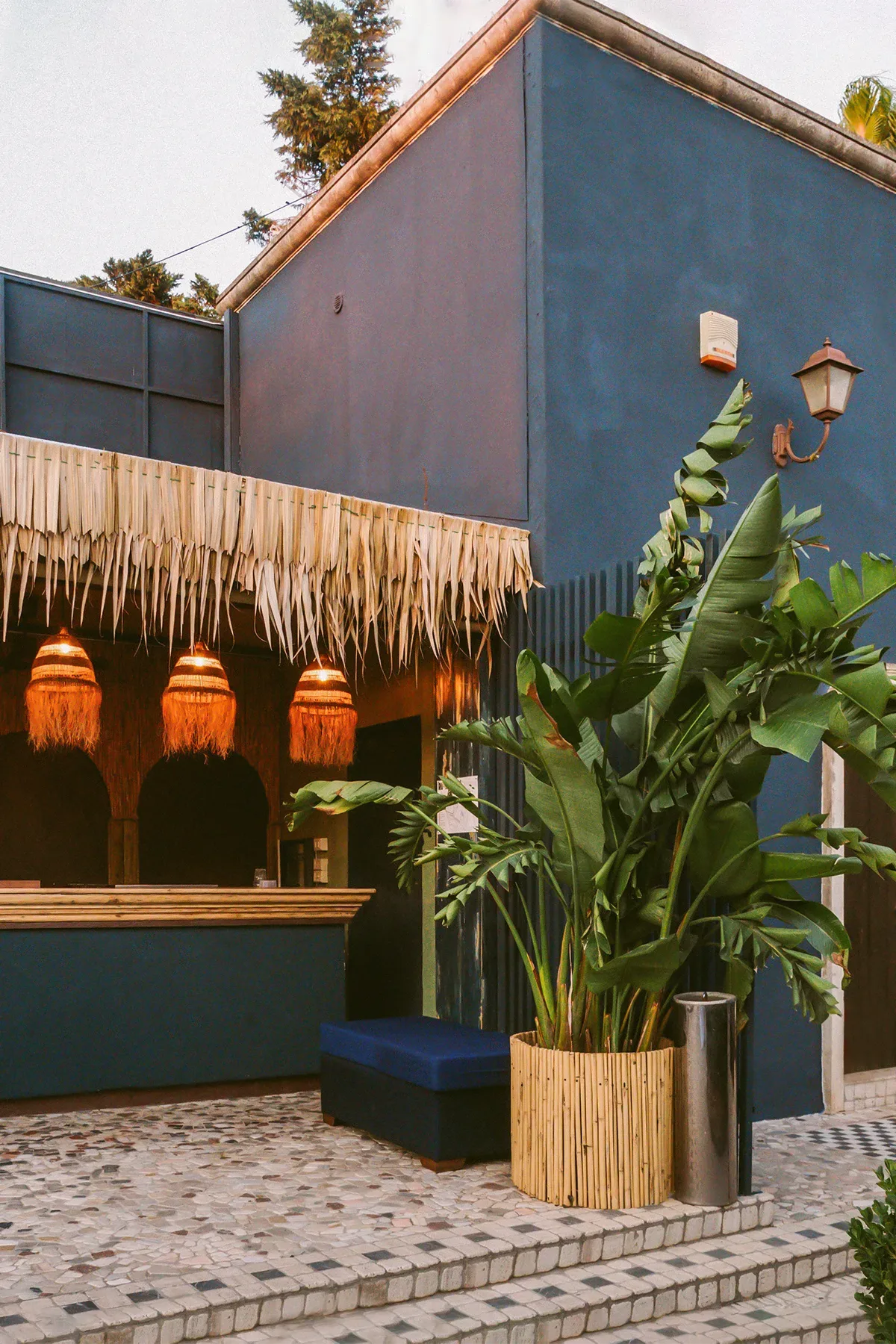 Gloria Colazzo - work - Shamba