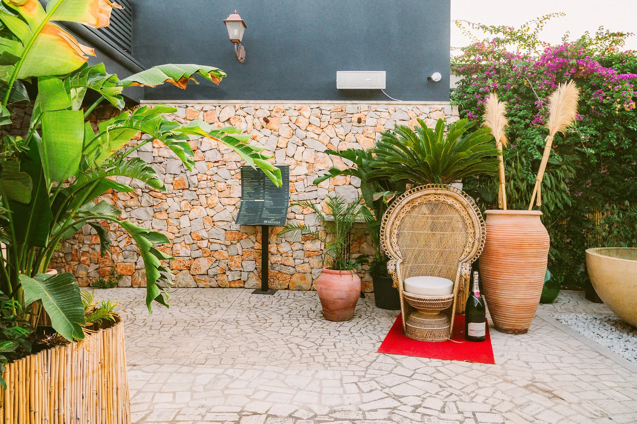 Gloria Colazzo - work - Shamba