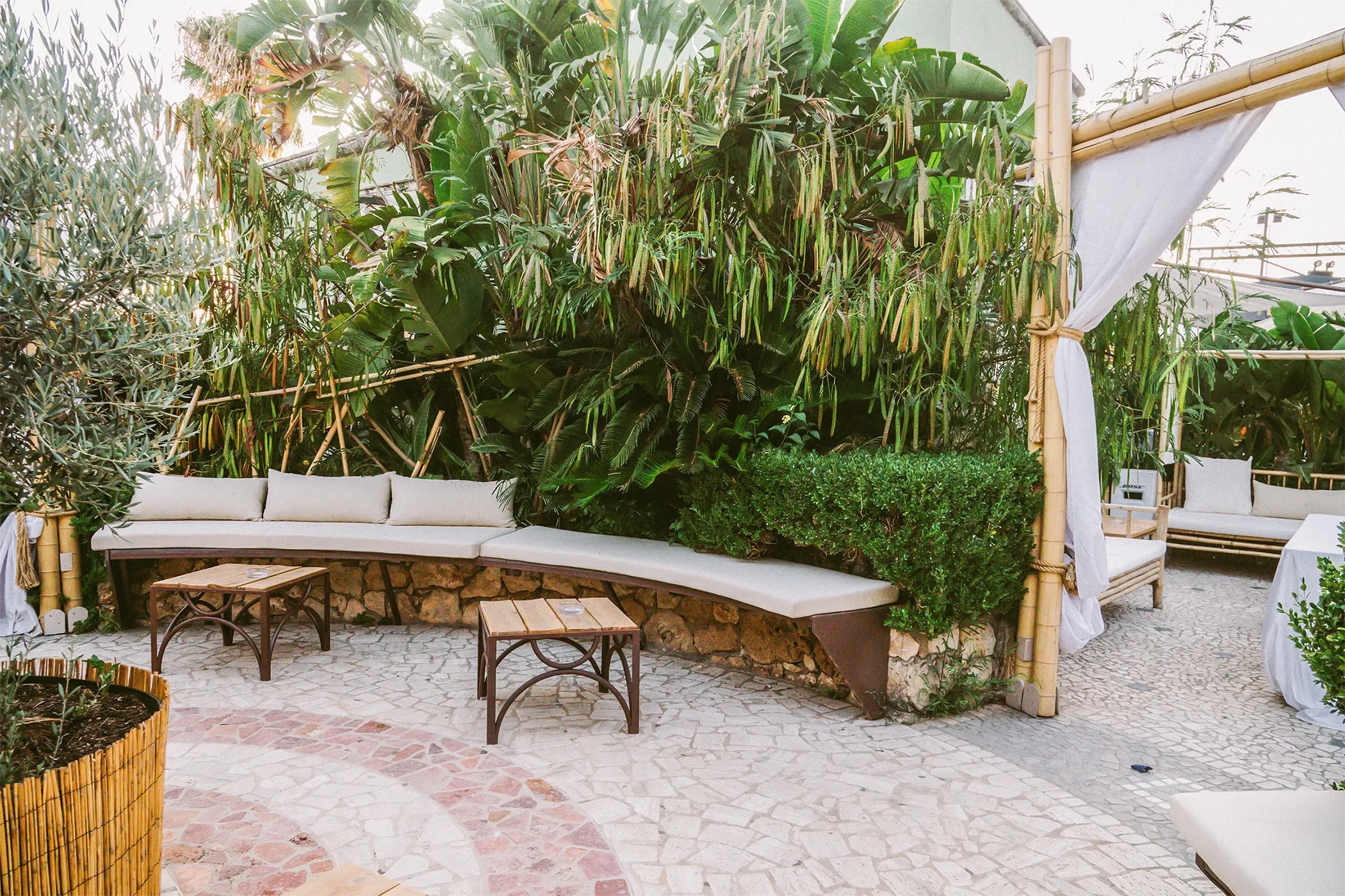 Gloria Colazzo - work - Shamba