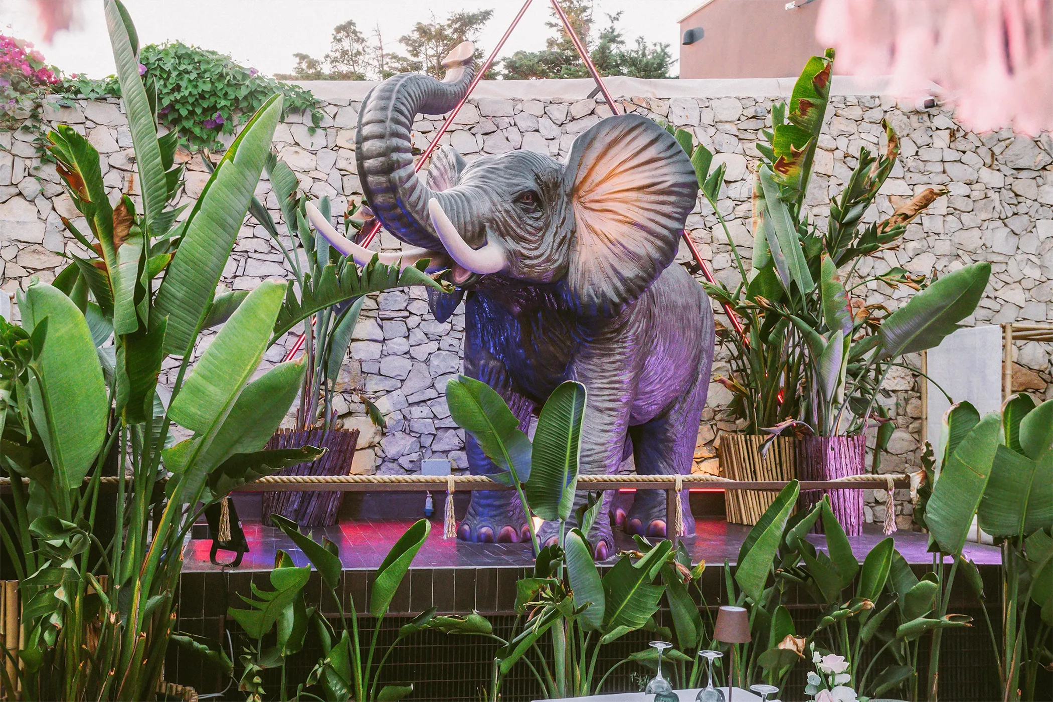 Gloria Colazzo - work - Shamba