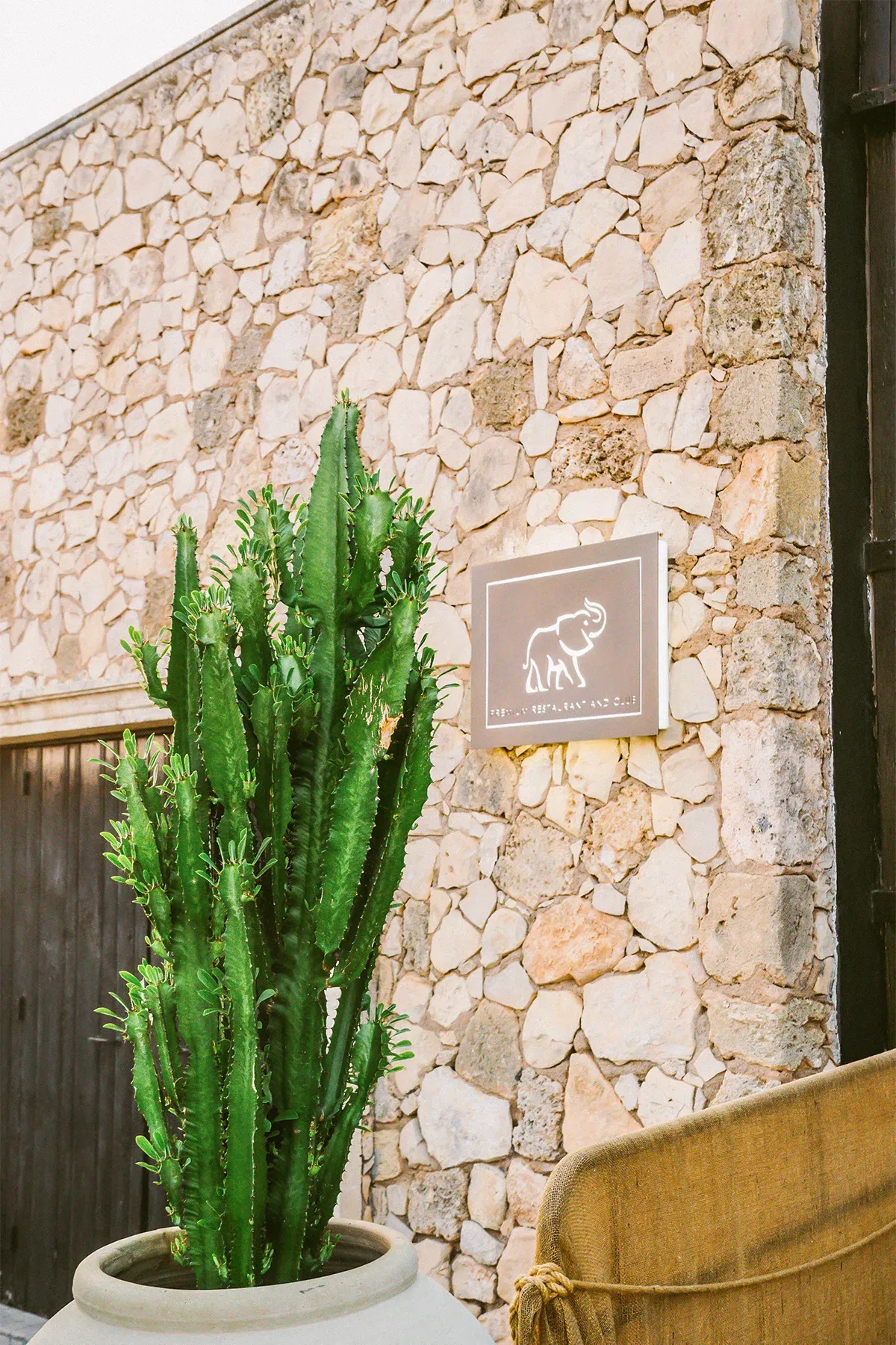 Gloria Colazzo - work - Shamba