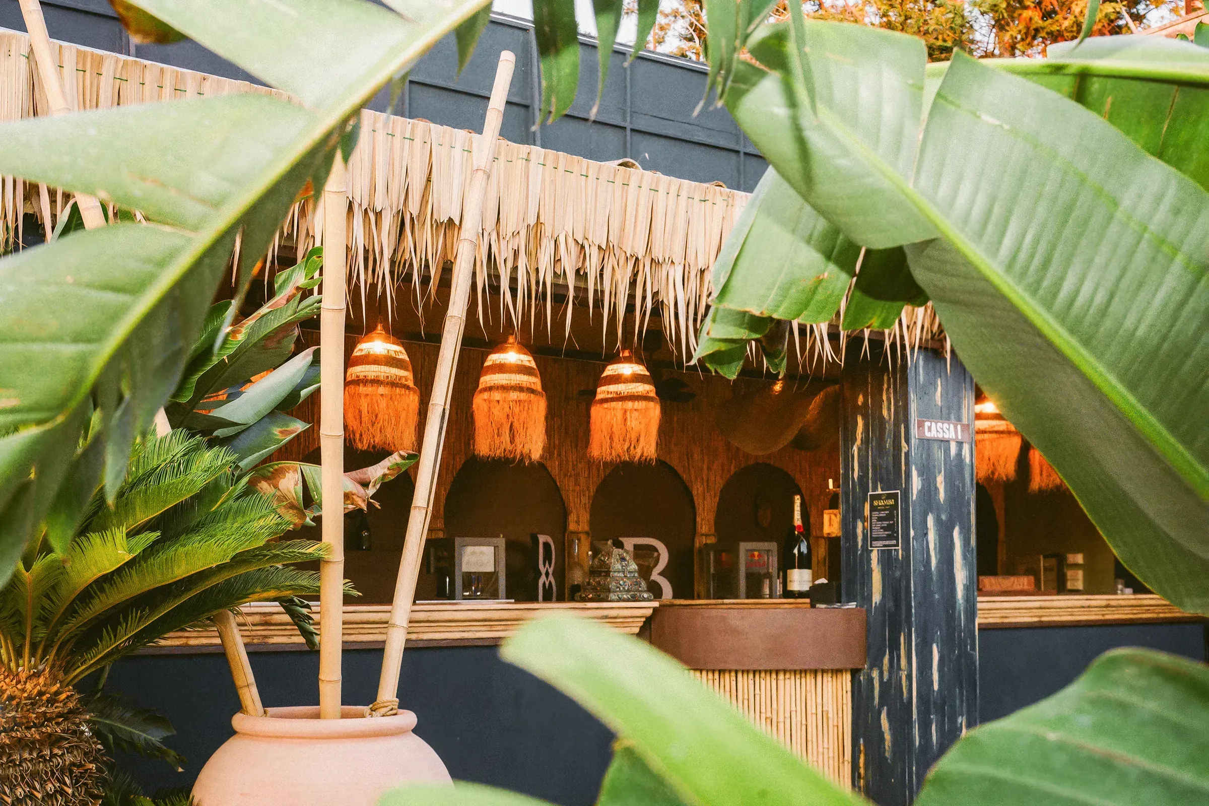 Gloria Colazzo - work - Shamba