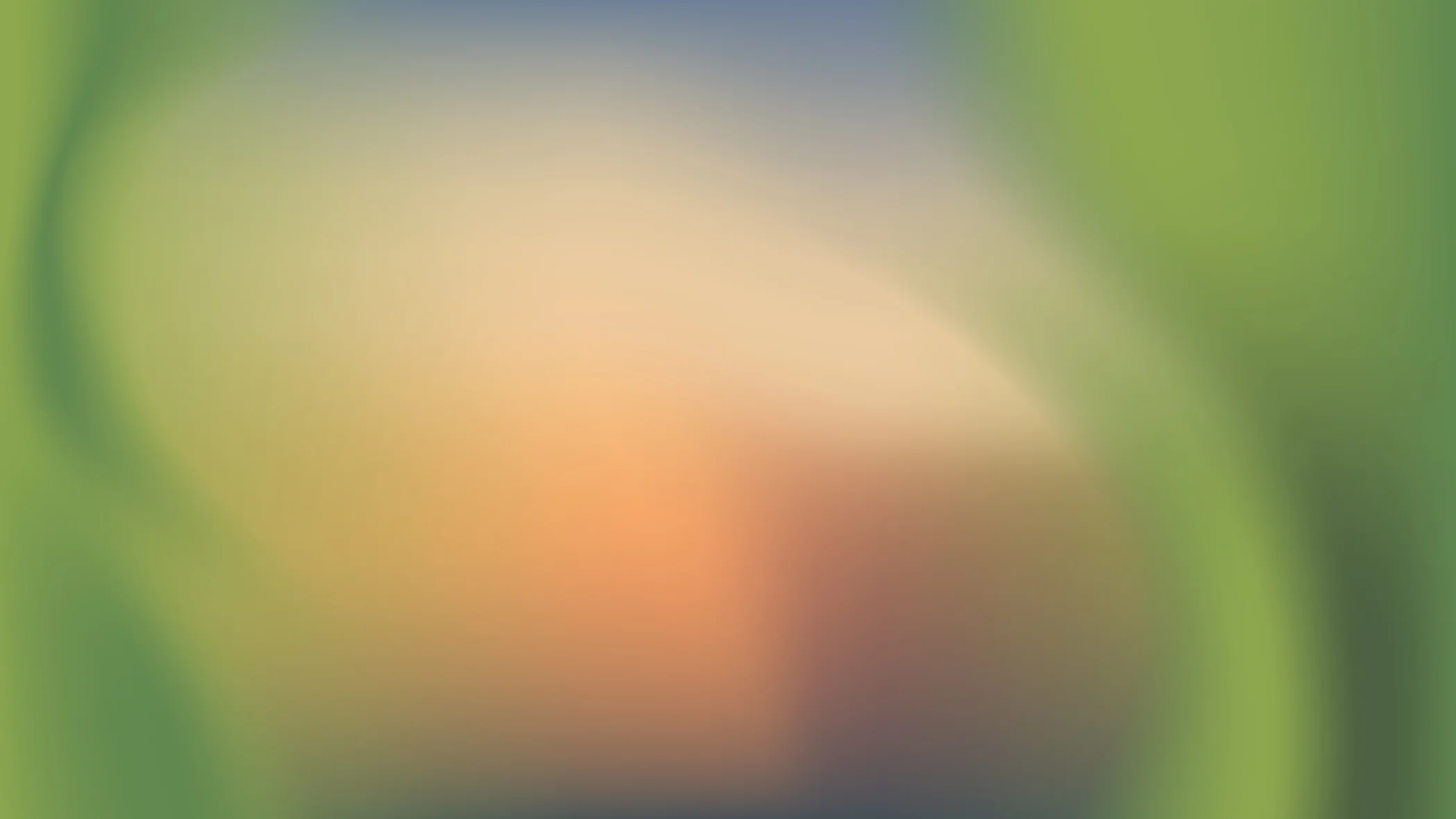 Gloria Colazzo - work - Shamba